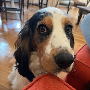 Meet your Posher, Adnan